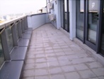 IMGP0379.JPG